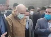 فیلم/ نظارت میدانی قالیباف به پایتخت گل و گیاه ایران