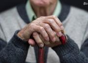 فیلم/ روش هلندی‌ها برای مراقبت از سالمندان