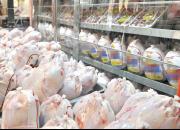 کاهش قیمت مرغ به مرز کیلویی ۸ هزار تومان 