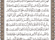 ترتیل صفحه 157 قرآن با صدای استاد «پرهیزکار»+صوت