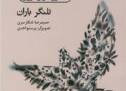 در عرصه شعر سپید عملا کاری انجام نشده است/ شعر باید بتواند نوجوان را به تاویل فرابخواند