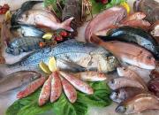 قیمت انواع ماهی در بازار +جدول