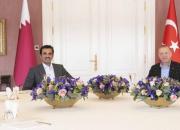 گفت‌وگوی امیر قطر و اردوغان درباره منطقه